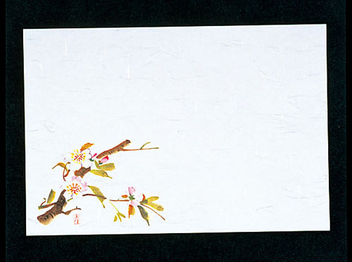 四季紙・千寿（100枚入） 桜 M30-205