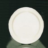 ブライトーンBR700（ホワイト） ディナー皿 25㎝