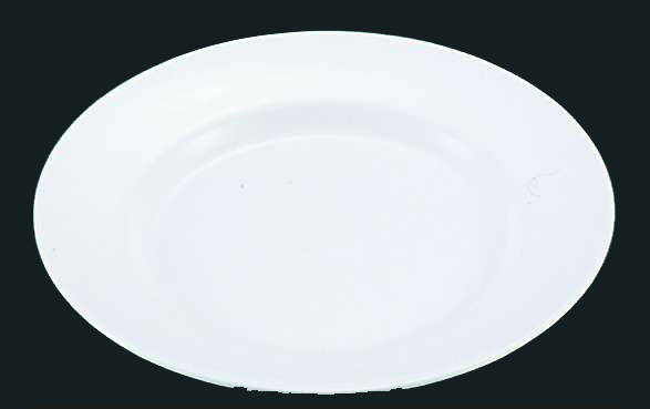 メラミン 平皿（リム型）№24 （10インチ） 白